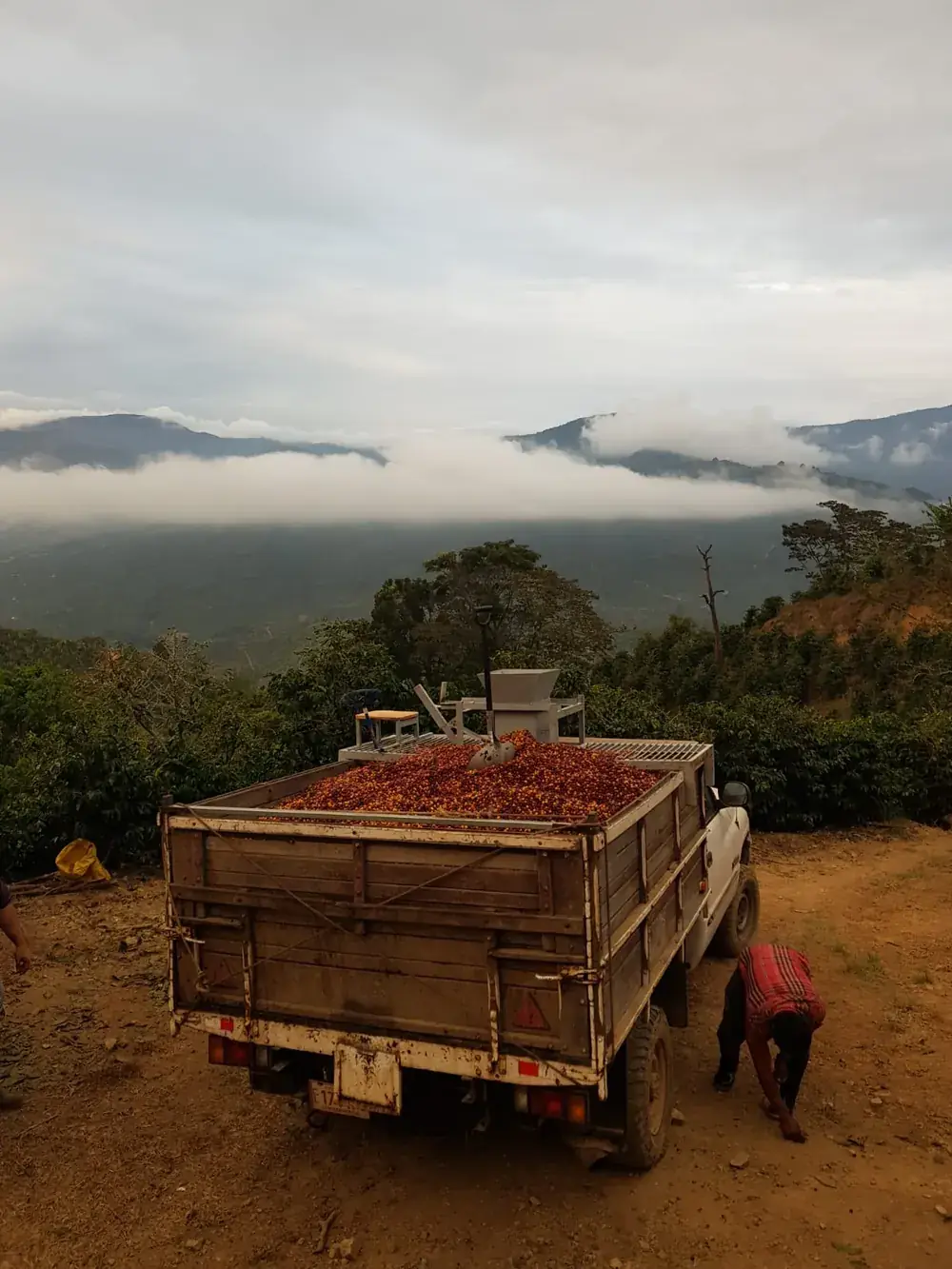 Un camión de cerezas al amanecer, con las nubes por debajo de la montaña