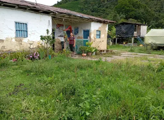 La casa de Finca Recinas entre los cafetales